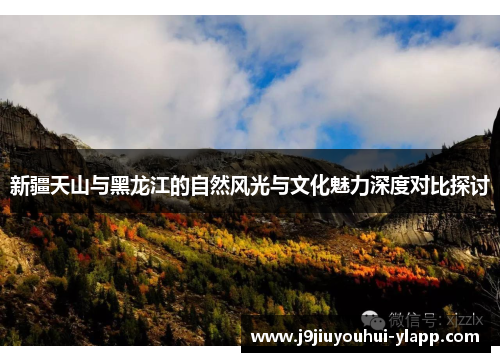 新疆天山与黑龙江的自然风光与文化魅力深度对比探讨