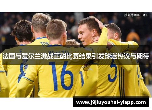 法国与爱尔兰激战正酣比赛结果引发球迷热议与期待